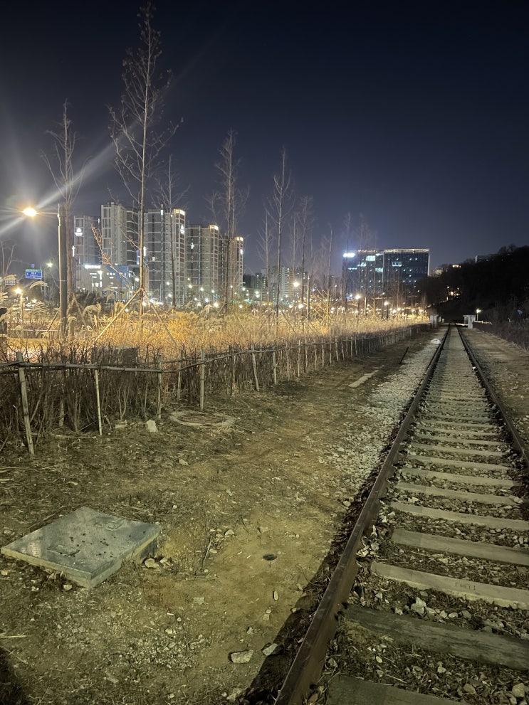  2023/01/29(일) - 산책