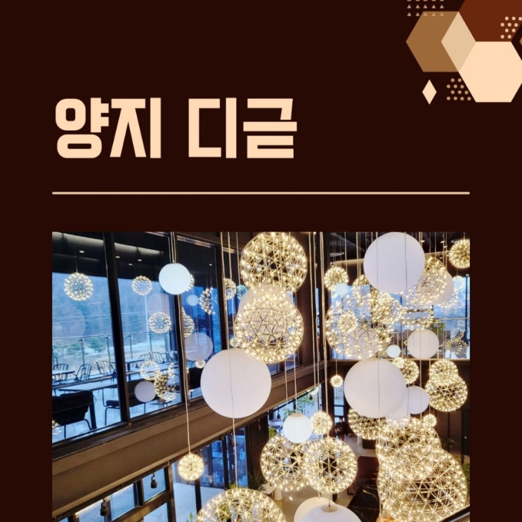  용인 애견동반카페 처인구 양지 ' 디귿 ' 양지대형카페