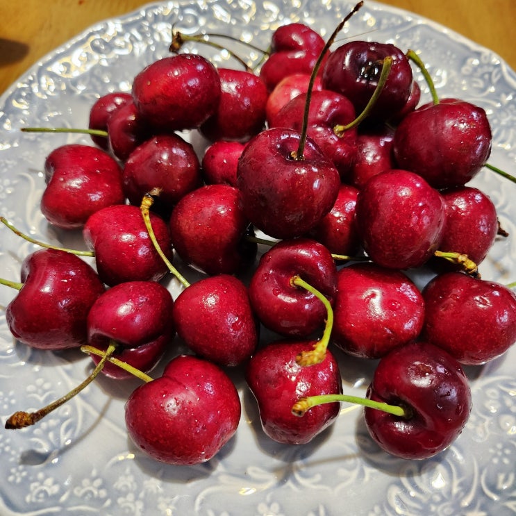  1.23-1.29 이번주 일상
