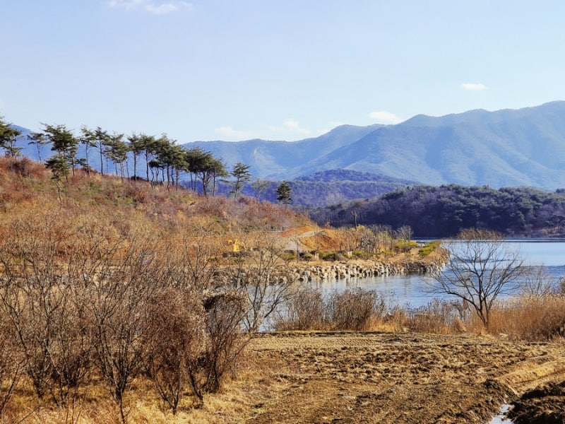 사진 3