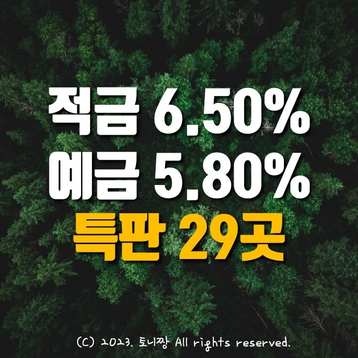 예금특판 연5.8%, 적금특판 연6.5% 정기예적금 29곳 목록. 순창 남원 목포동부 서평택 파주 푸른새마을금고