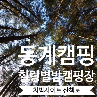  [캠핑일기] 힐링별밤수목원캠핑장 후기 계곡사이트 차박사이트