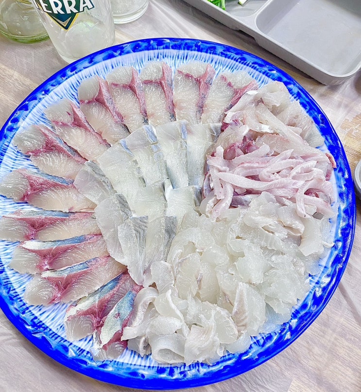  [포항 맛집] 구룡포 - 회? 없어서 못 먹지! 대게? 맛살만 먹어봤어! 근데 여긴 다 있네? 영일만회대게 횟집