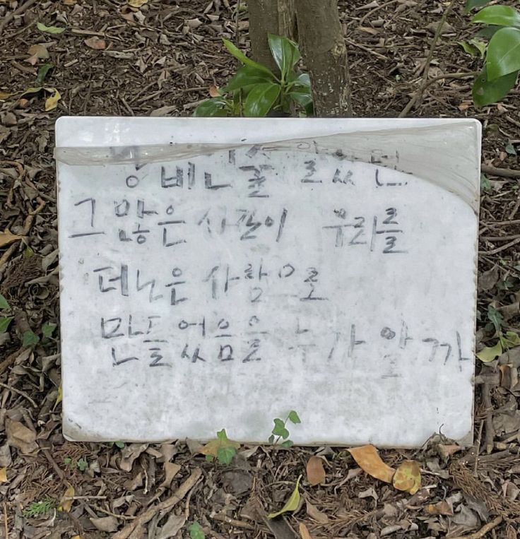  자양분이 될 줄이야.