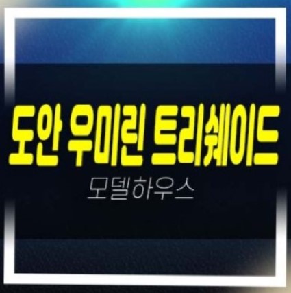  도안 우미린 트리쉐이드 용계동 미분양아파트 분양금액 잔여세대 주택전시관 평형대 유니트 관람예약