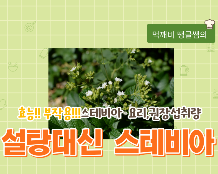  제대로 알고먹는 스테비아 깐깐히 고른 순수내추럴 순플러스