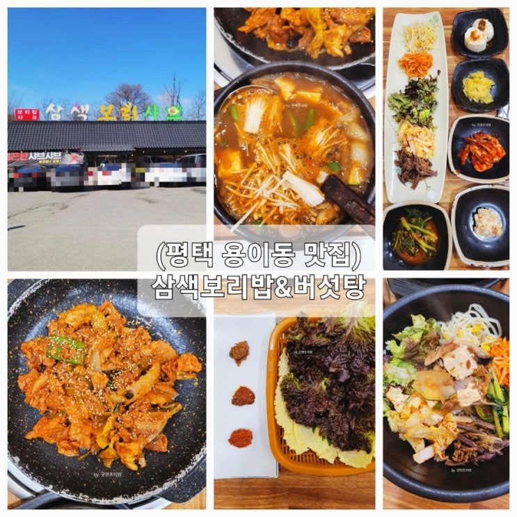 (평택 용이동 맛집) 삼색보리밥&버섯탕 (평택 용이동 맛집) 삼색보리밥&버섯탕