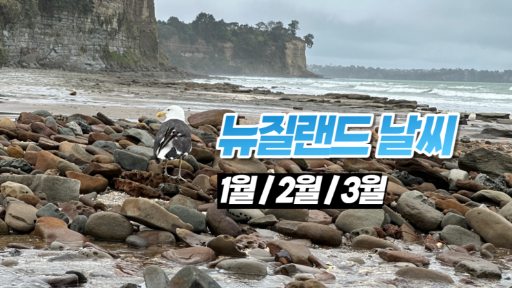 뉴질랜드 날씨 오클랜드를 비롯한 북섬은 폭우로 침수 뉴질랜드 날씨 오클랜드를 비롯한 북섬은 폭우로 침수