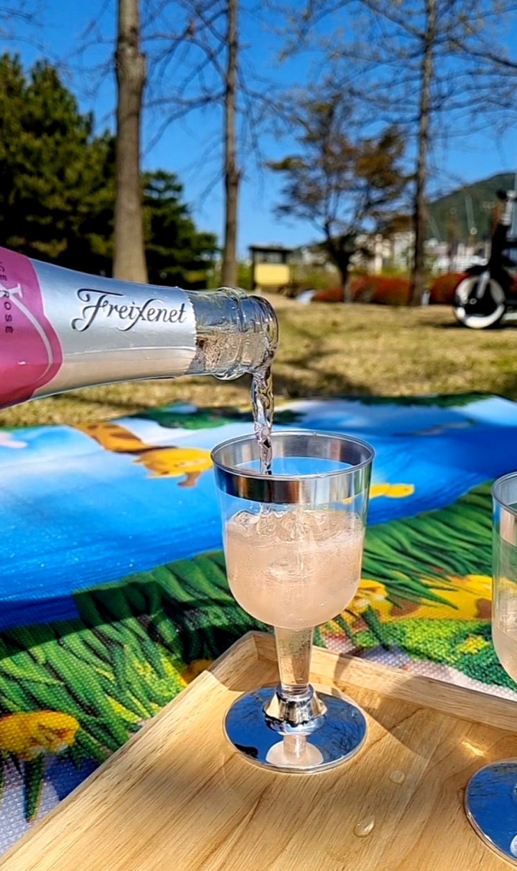  프레시넷 아이스 까바 로제(Freixenet Ice Rose Cava) / 롯데마트 3월 할인정보. 피크닉 와인으로 추천하는 스파클링 와인