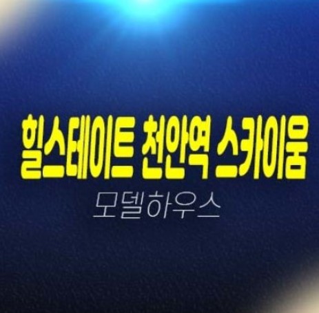힐스테이트 천안역 스카이움 성정동 미분양아파트 잔여세대 분양금액 시세차익 초고층 평형타입 유니트 주택전시관 관람 예약방문! 힐스테이트 천안역 스카이움 성정동 미분양아파트 잔여세대 분양금액 시세차익 초고층 평형타입 유니트 주택전시관 관람 예약방문!