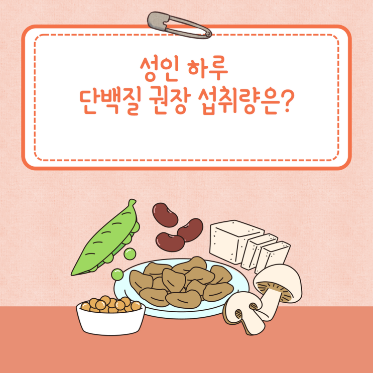  성인 하루 단백질 권장 섭취량은?(부족증상 및 추천 음식 best3)