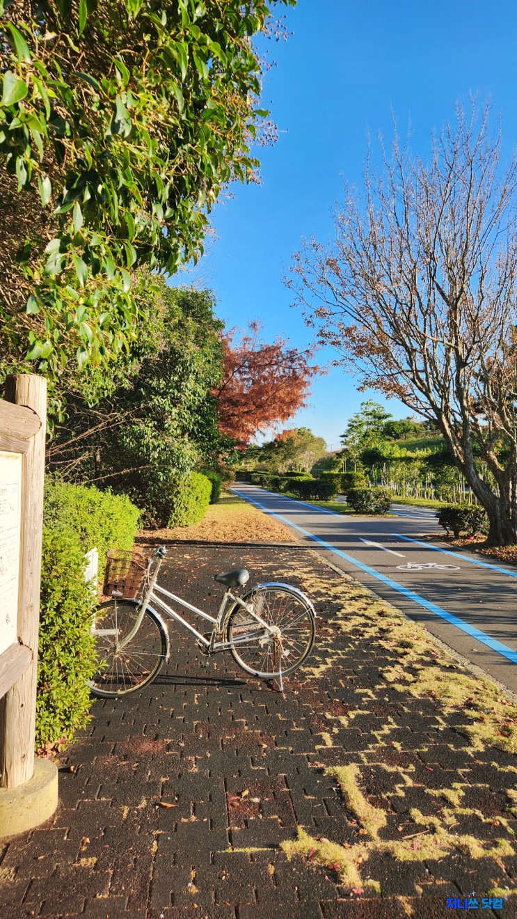 후쿠오카 근교 여행 : 우미노나카미치 해변공원 가는법, 자전거대여 반납장소 후쿠오카 시티패스 버스1일권