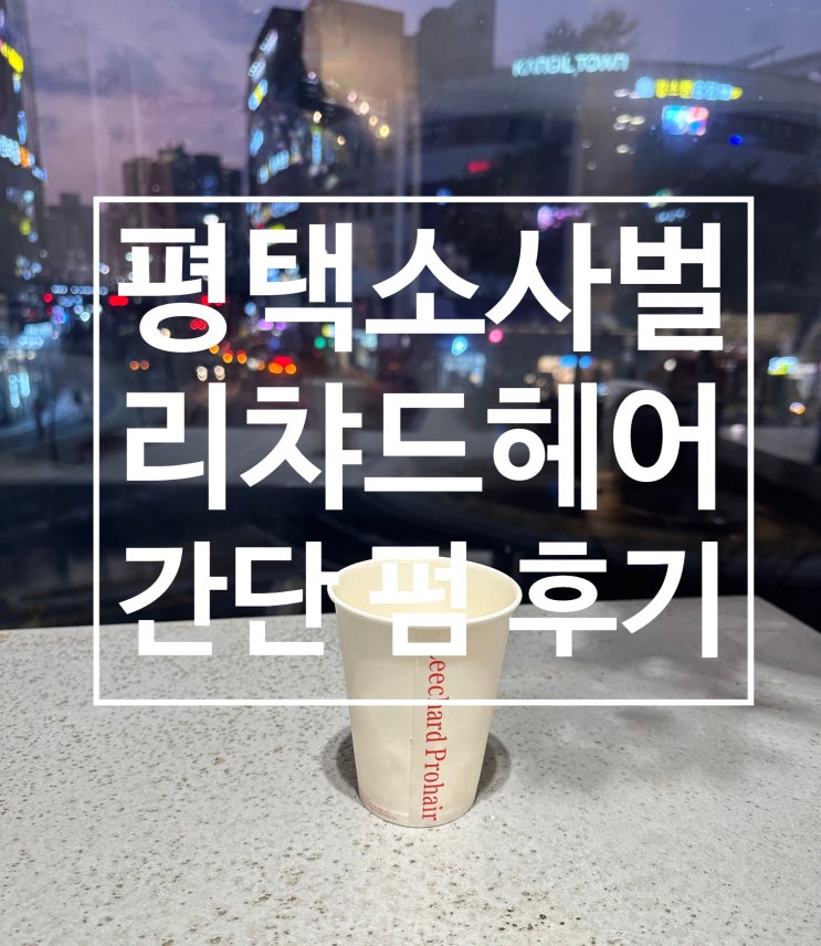  평택 소사벌 리챠드헤어 남성 펌 후기 및 담당디자이너