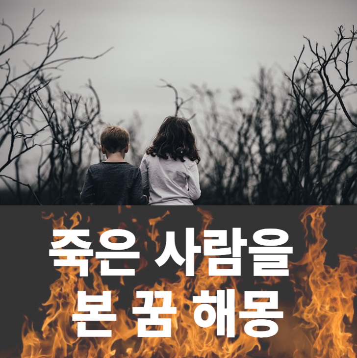  죽은 사람을 본 꿈 해몽 ( 사망하여 슬피 울었던, 움직이는 생명체가 죽는, 초상난 것을 본, 죽었다고 생각이 드는 꿈 해몽 풀이 )