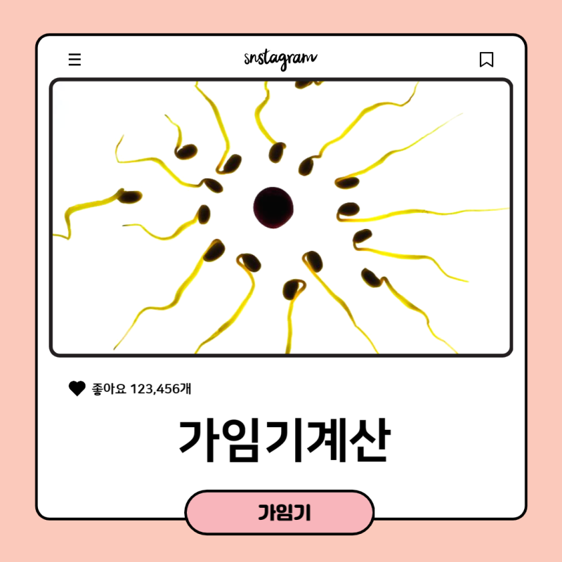 가임기 뜻, 배란일 뜻, 가임기 계산까지 제대로 알아둬요 : 네이버 블로그