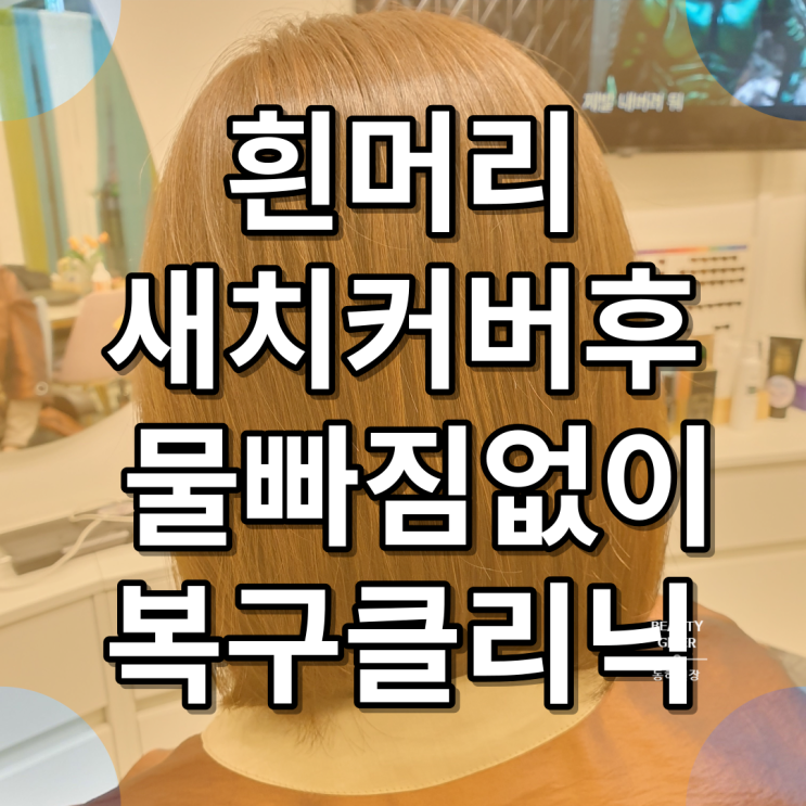 흰머리 새치커버 염색 시술 후 물빠짐 없이 케라본드 복구클리닉 시술 레시피