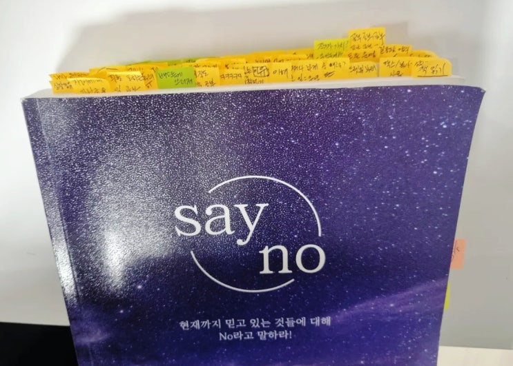  세이노의 가르침 책 리뷰 : 한국 자기계발 서적의 아버지