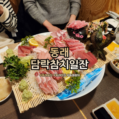  동래술집 담락참치일잔  참치에 화요한잔 합시다