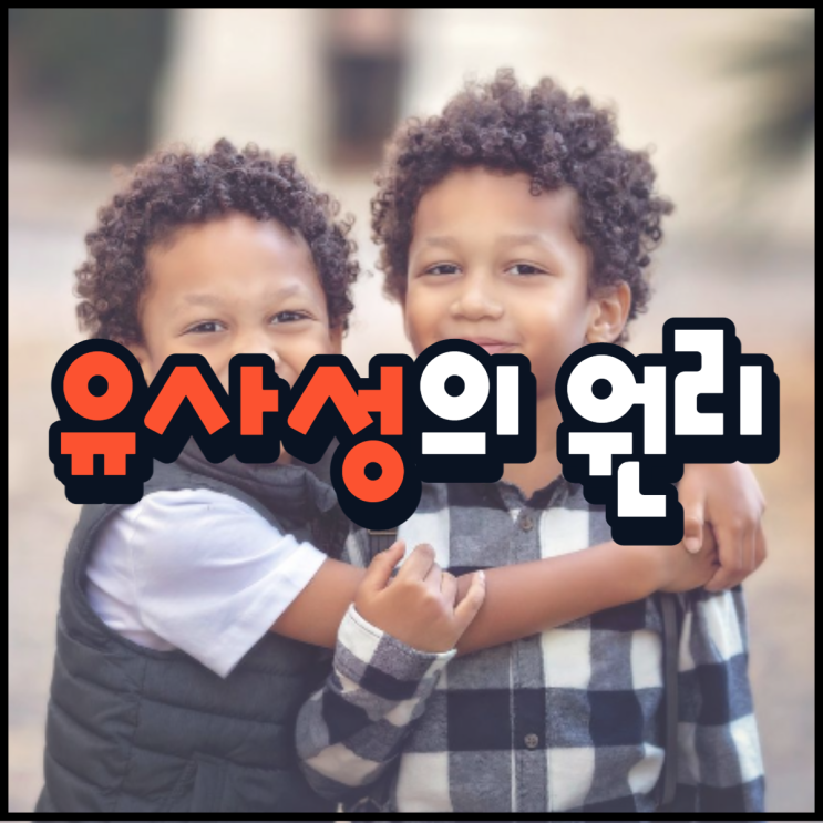  유사성의 원리 비슷한 사람끼리 호감?