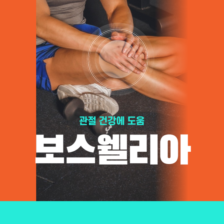 보스웰리아 효능 먹는법 부작용 관절 건강 위한 보스웰리아 추출물 보스웰리아 효능 먹는법 부작용 관절 건강 위한 보스웰리아 추출물