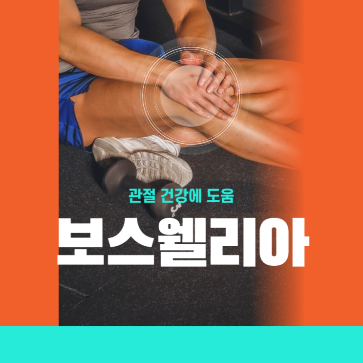 보스웰리아 효능 먹는법 부작용 관절 건강 위한 보스웰리아 추출물