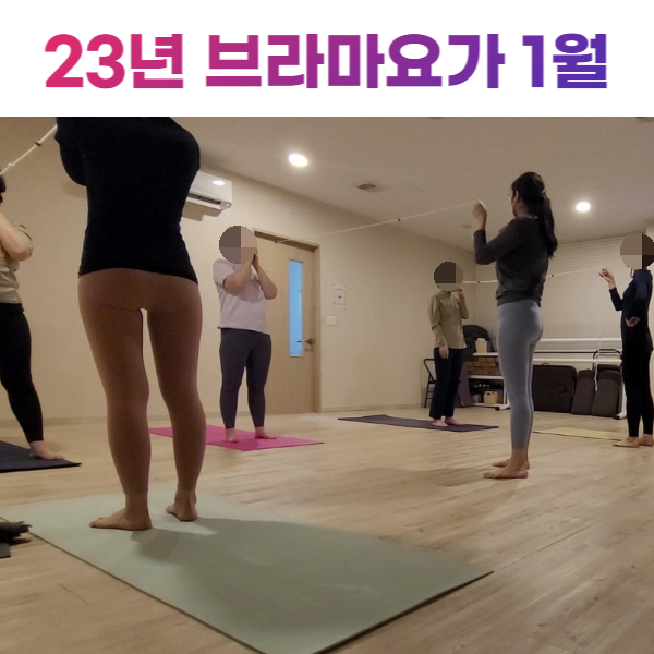  뉴로 트레이닝과 요가 그리고 다이어트 챌린지