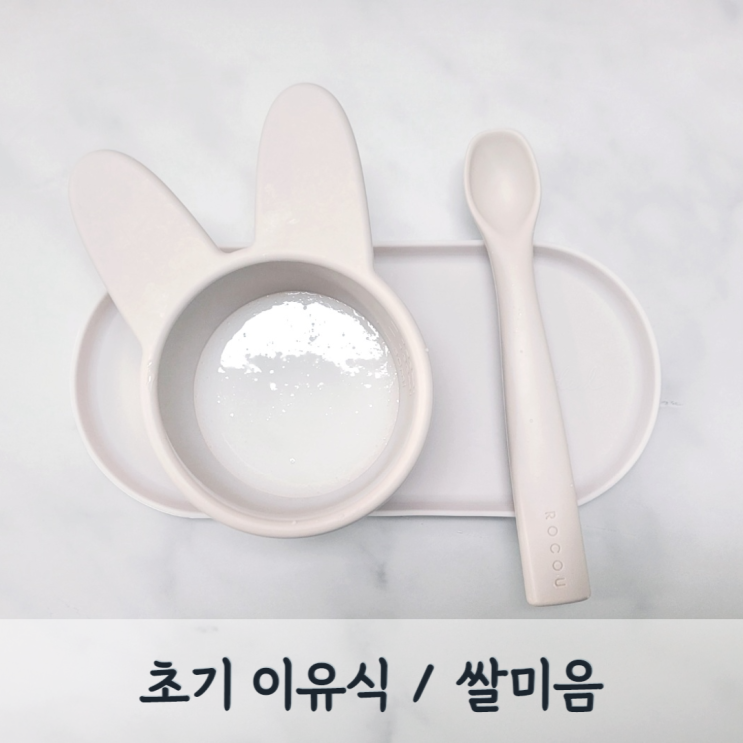 [초기이유식] 쌀미음 레시피 (쌀가루, 10배죽, 베이비무브)