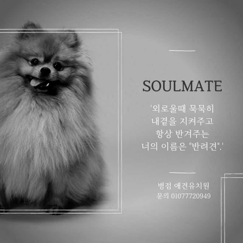 사진 3