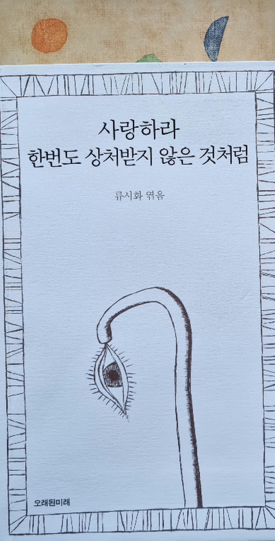  류시화 엮음 사랑하라 한번도 상처받지 않은 것처럼 그리고 초대
