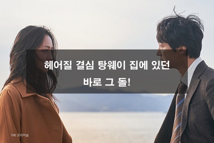  '헤어질 결심' 탕웨이 집에 있던 바로 그 돌! 예술품이 된 수석