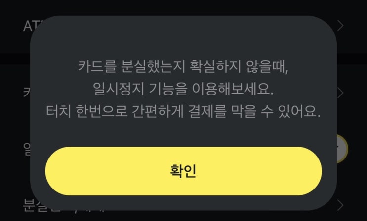  카카오페이 카드엔 카드를 분실했는지 확실하지 않을때, 일시정지 기능 정말 유용하네요!