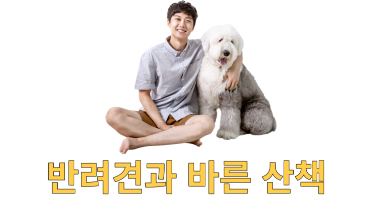  반려견과 올바른 산책하기!