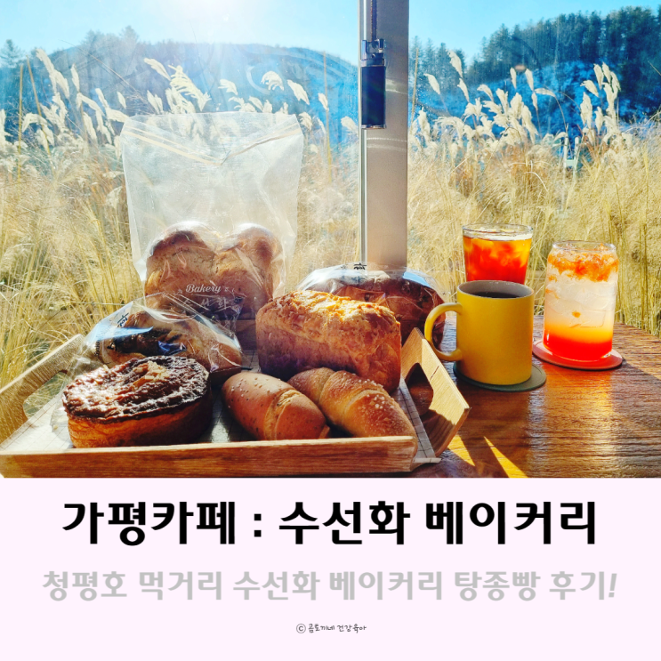 가평 카페 : 청평호 주변 먹거리 수선화베이커리 탕종빵 후기 가평 카페 : 청평호 주변 먹거리 수선화베이커리 탕종빵 후기