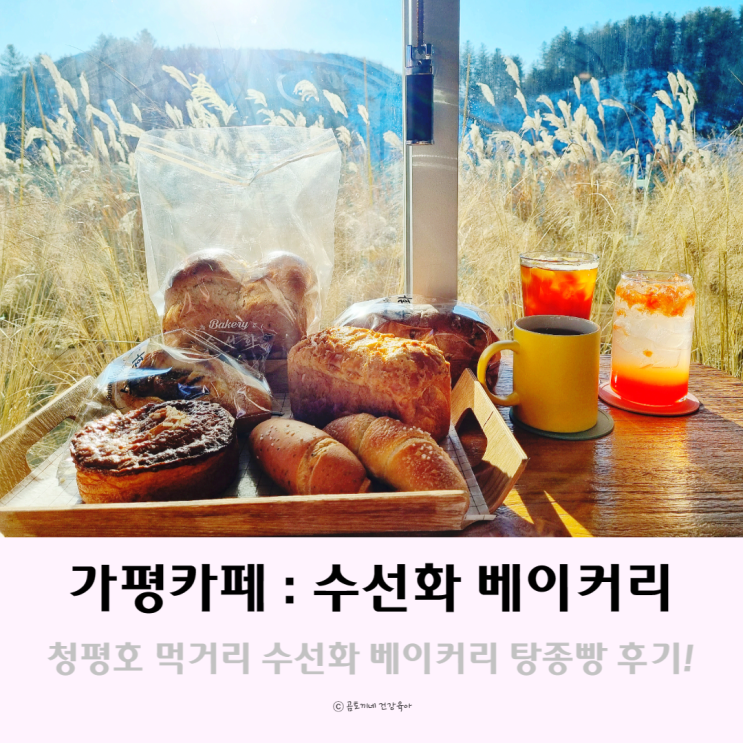 가평 카페 : 청평호 주변 먹거리 수선화베이커리 탕종빵 후기