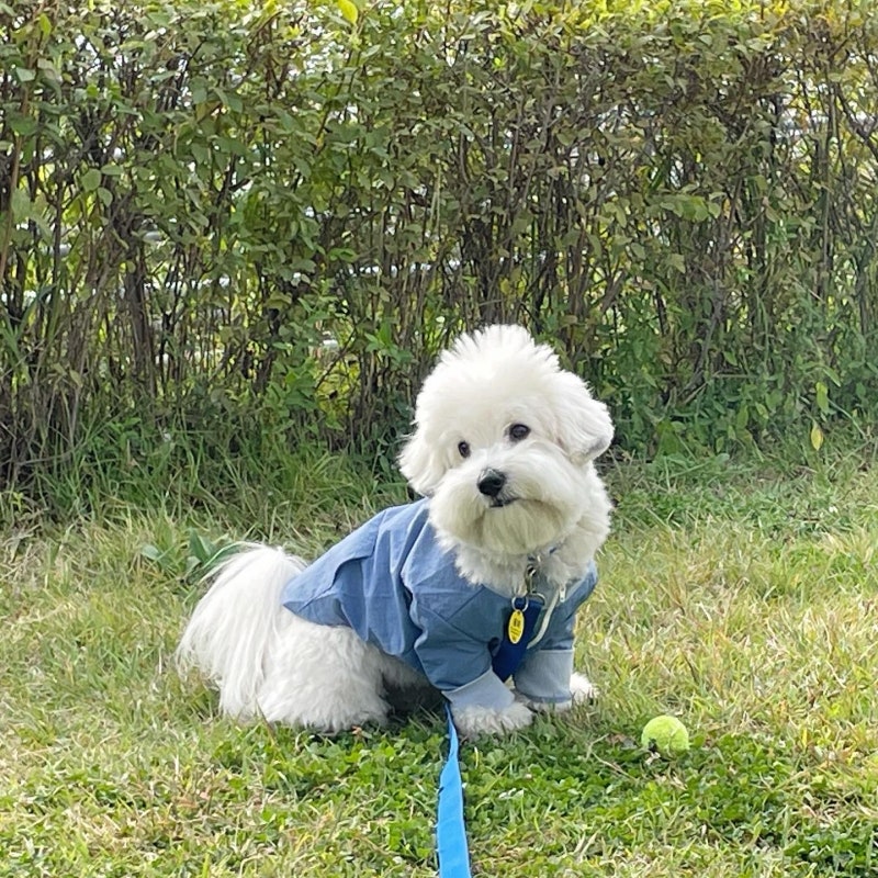 베럴즈 하프 집업 바람막이 후기 허리길고 다리 짧아도 괜찮아