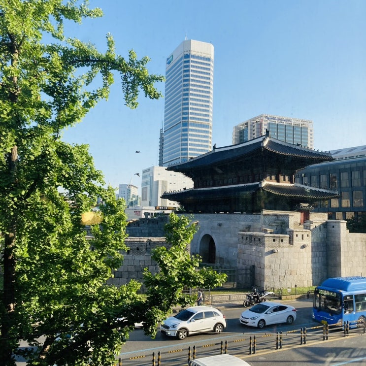  서울 동대문 정글이 있는 흥인지문뷰 이색 카페 : 정그리다