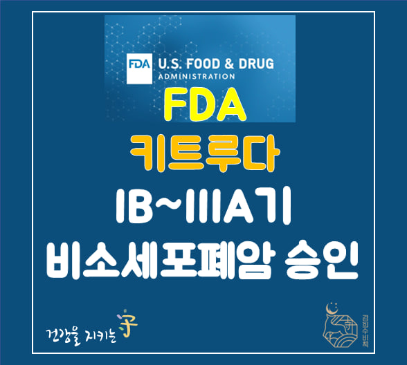  FDA, 키트루다 IB~IIIA기 비소세포폐암 보조요법 승인, 부작용