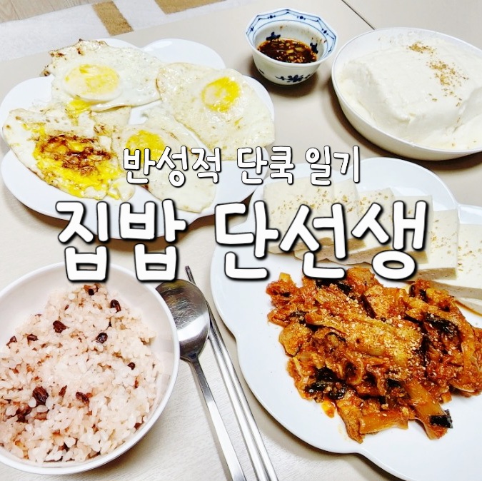  [집밥 단선생] 반성적 홈쿡 주간 일기