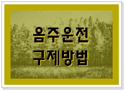 청주 음주운전 단속되었을 때 (이의신청) 청주 음주운전 단속되었을 때 (이의신청)