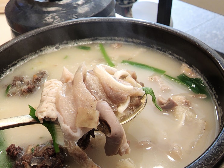 원마운트 점심 메뉴 <국밥생각 원마운트점> 순대국밥 + 모듬국밥 한 그릇 원마운트 점심 메뉴 <국밥생각 원마운트점> 순대국밥 + 모듬국밥 한 그릇
