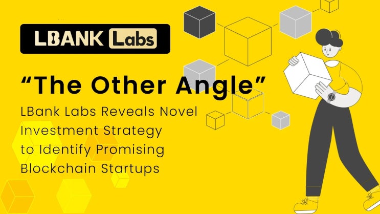 The Other Angle, Lbank Labs: 새로운 투자 전략