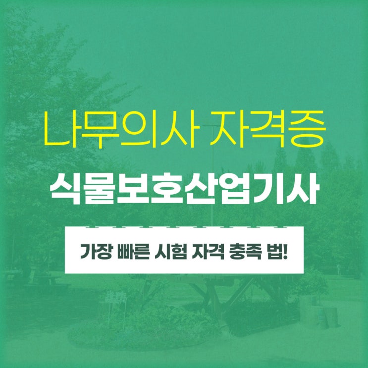 나무의사 자격증 취득하려면 식물보호산업기사 필요! (나무의사 시험 응시자격 충족방법) 나무의사 자격증 취득하려면 식물보호산업기사 필요! (나무의사 시험 응시자격 충족방법)