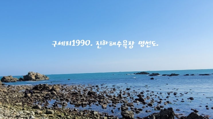  구세리1990. 명선도.