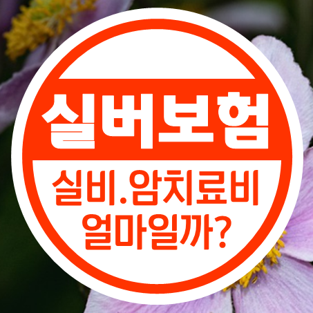  부모님 실비보험 가입 시 부모님암보험 비용을 함께 알아보세요.