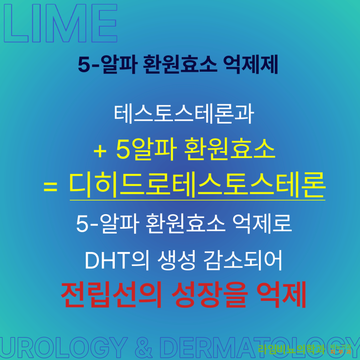  대구동구비뇨기과 라임비뇨기과와 알아보는 두 번째 대구전립선 약물 치료법 및 수술법