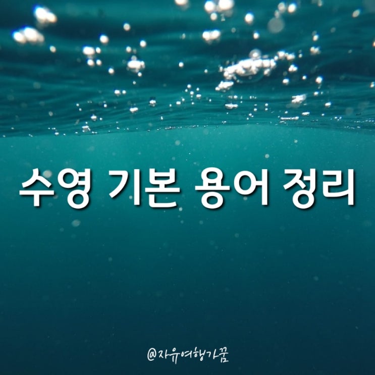  수영 기본 용어 정리, IM100이란?
