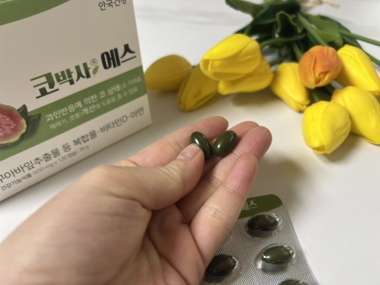  비염 영양제 코박사 에스 구아바잎 효능 재채기콧물 관리해요