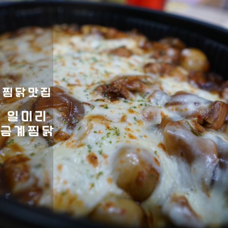  동탄 맛집 일미리 금계찜닭 찜닭 칼로리