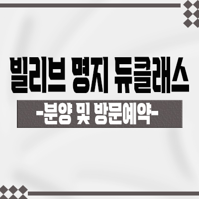  빌리브 명지 듀클래스 오피스텔 부산 강서구 신세계건설 아파텔 명지동 주거용오피스텔 분양가 및 잔여호실 안내