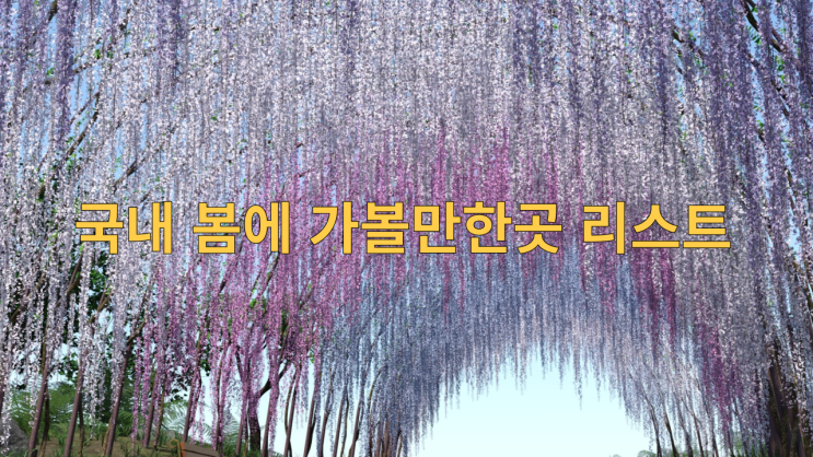  국내 봄에 가볼만한곳 리스트